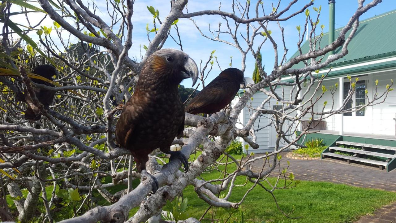 Willa Glenfern Sanctuary Okiwi Zewnętrze zdjęcie